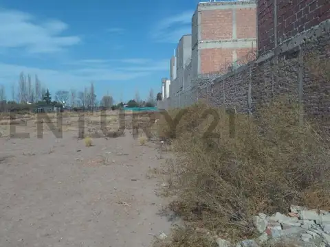 Terreno en Venta 20  mts Frente