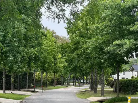 Lote en venta en La Cesarina General Rodriguez