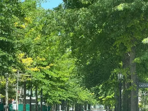 Terreno en Venta en General Rodriguez, USD 89.000