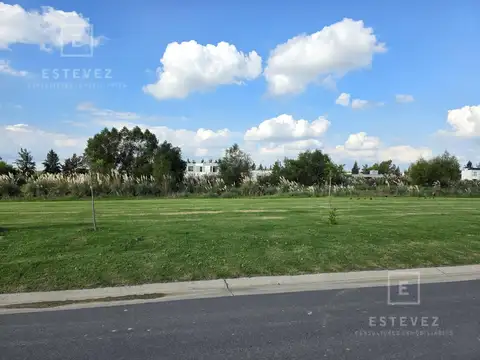 Lote interno con fondo a espacio verde común