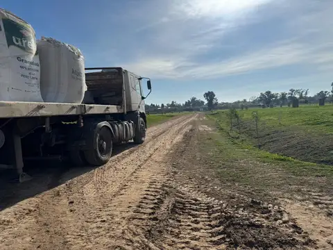 Consultar dirección
