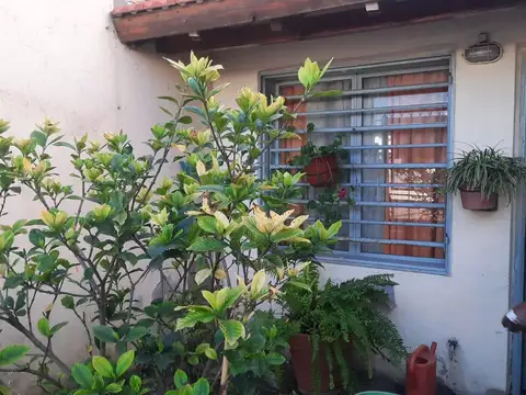 Casa en Venta 15 años