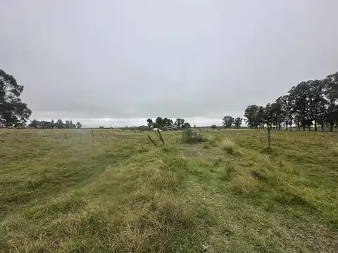 Campo de 6 Hectáreas a  metros de Ruta 6, San Vicente.