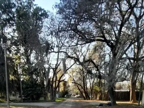 Terreno en Venta de 300,0 m2