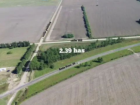 Ruta Provincial 31