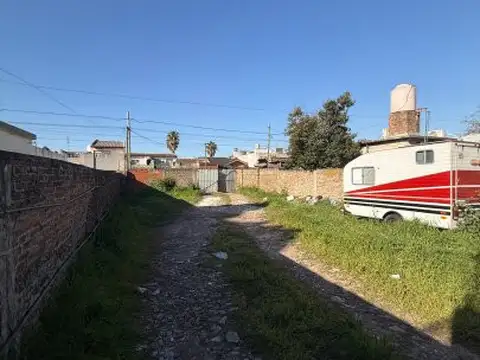 Barbosa 785