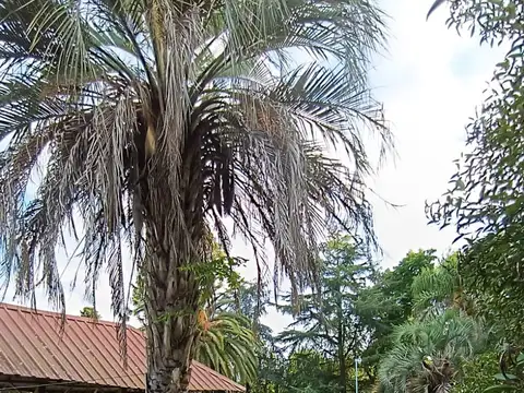 Quinta en Venta 35 años