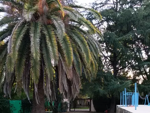 Quinta en Venta en Parque Alvear, USD 195.000