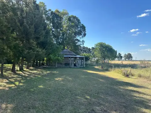 La Choza fracción 548- 4 HECTAREAS, Pueblo Plomer Cuartel Sexto  partido de Gral .Las Heras Prov. De Bs. As.