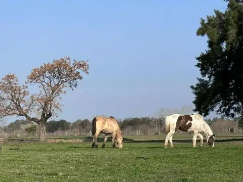 Lote 1600m2 ubicación central