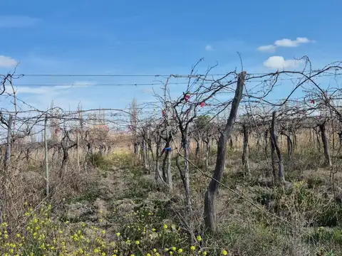 Ruta Prov 60
