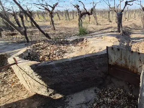 Lotes 1 Ha Finca Junin