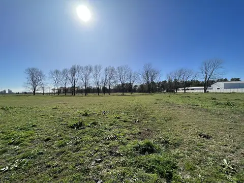 Terreno en Venta de 35833,0 m2