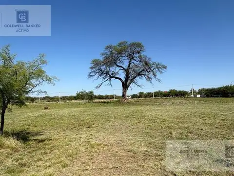 Venta terreno de 1000m2 en Sinsacate