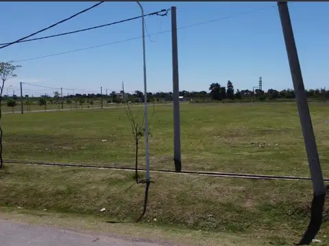 Mandolini y Bayol Lote 8
