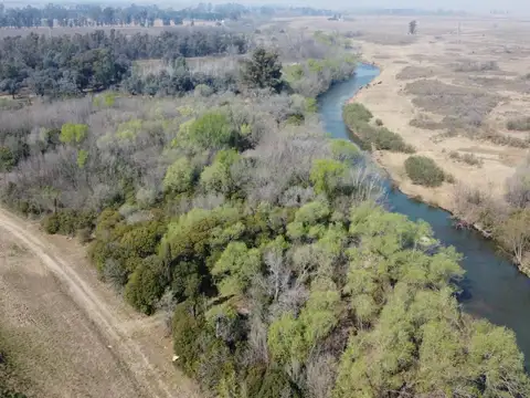 Campo en Venta Industrialización