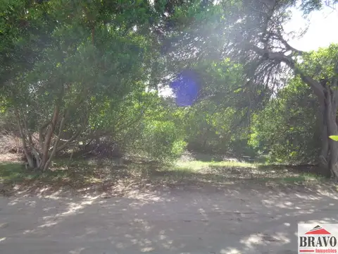 Terreno en Venta 60  mts Frente