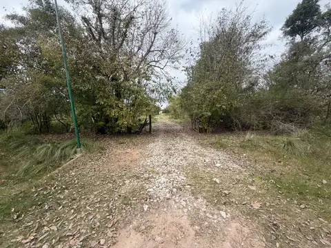 Fracción en alquiler en Villa Elisa de 22.250 m2