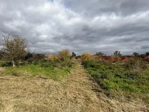 Terreno en Alquiler de 22500,0 m2