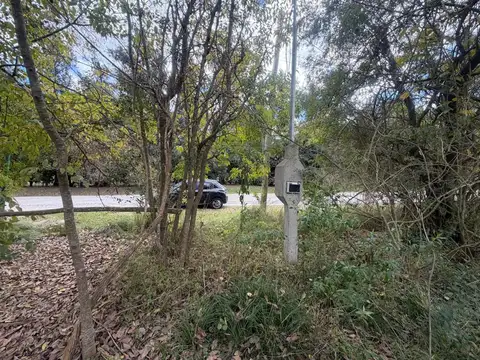 Terreno en Alquiler en Villa Elisa, USD 2.900