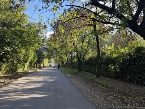 VENTA DE LOTE EN MORENO 
