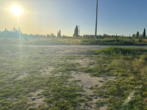 LOTE EN LA RUFINA II CERVANTES