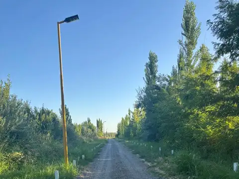 LOTE EN LA RUFINA II CERVANTES