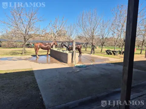VENTA. EXCLUSIVO CLUB DE POLO. EXCELENTE ACCESO.  A 900 metros de la Ruta 28 (Km 5).