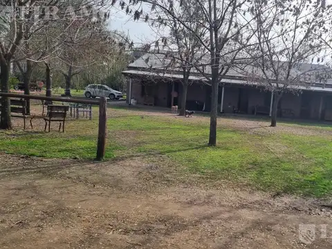 CLUB DE POLO. Ruta 28. Km5. PILAR