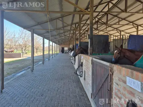 CLUB DE POLO. Ruta 28. Km5. PILAR