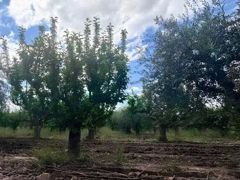 VENTA FINCA MAIPÚ