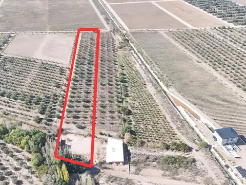 VENTA FINCA MAIPÚ