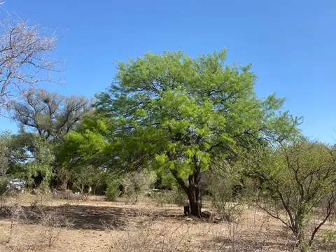 Terreno de 2500 m2 en Corralito - pedanía de Luyaba