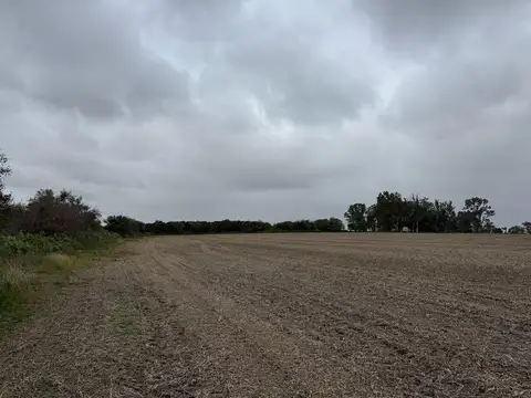 105 hectareas en Antelo