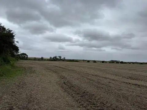 105 Hectareas En Antelo