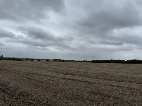 105 hectareas en Antelo