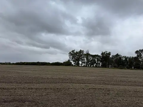 105 Hectareas En Antelo