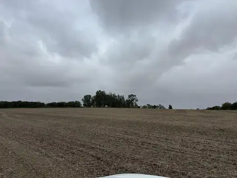 105 Hectareas En Antelo