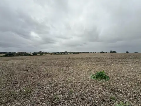 105 hectareas en Antelo