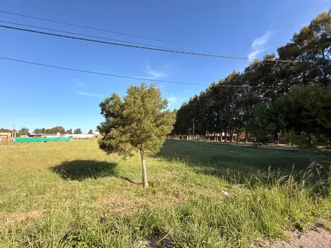 Fincas De La Florida