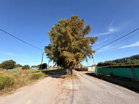Fincas De La Florida
