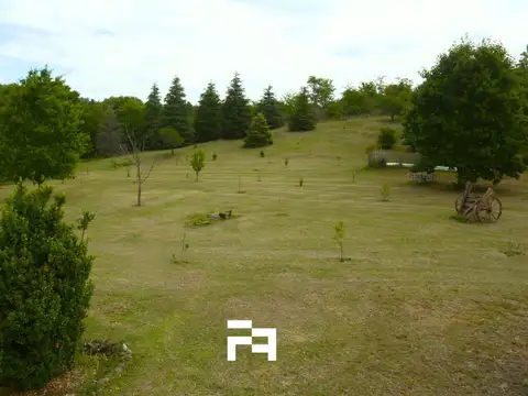 CAMINO VIEJO A YACANTO