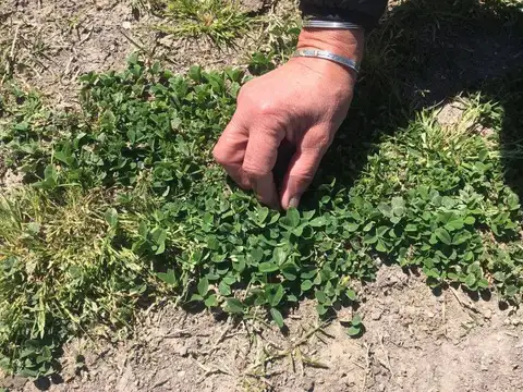 Campo en venta en Magdalena