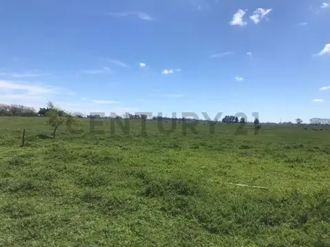 Campo en venta en Magdalena