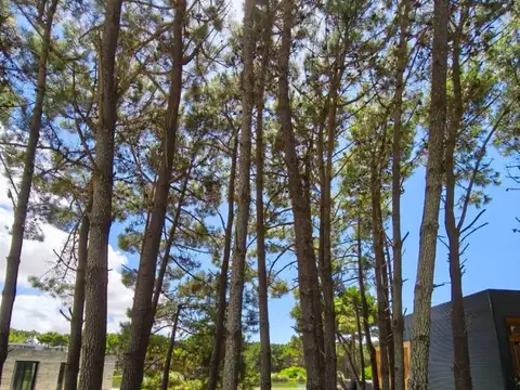 Terreno en Venta en Villarobles, USD 150.000