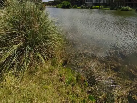 Terreno en Venta de 930,0 m2