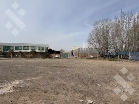Terreno en Alquiler 50  mts Fondo