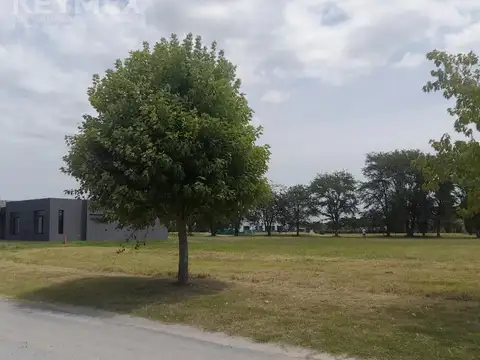 Terreno en Venta 55  mts Fondo