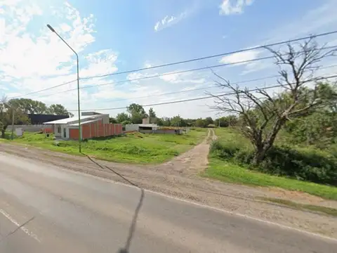 antartida