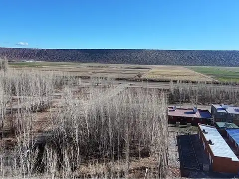 LOTE EN VENTA LA FORESTADA, AÑELO, VACA MUERTA
